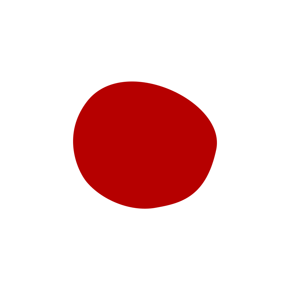 11 (1).png