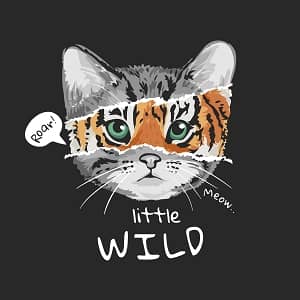 принт с котом Little wild