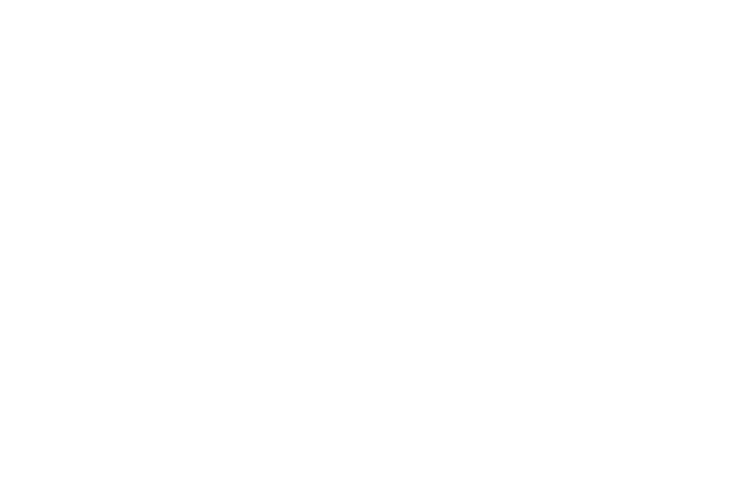 ROMANI STORE