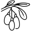 Ягоды годжи