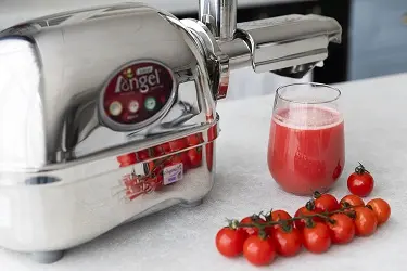 Angel Juicer Angelia 5500 соковыжималка ангел купить