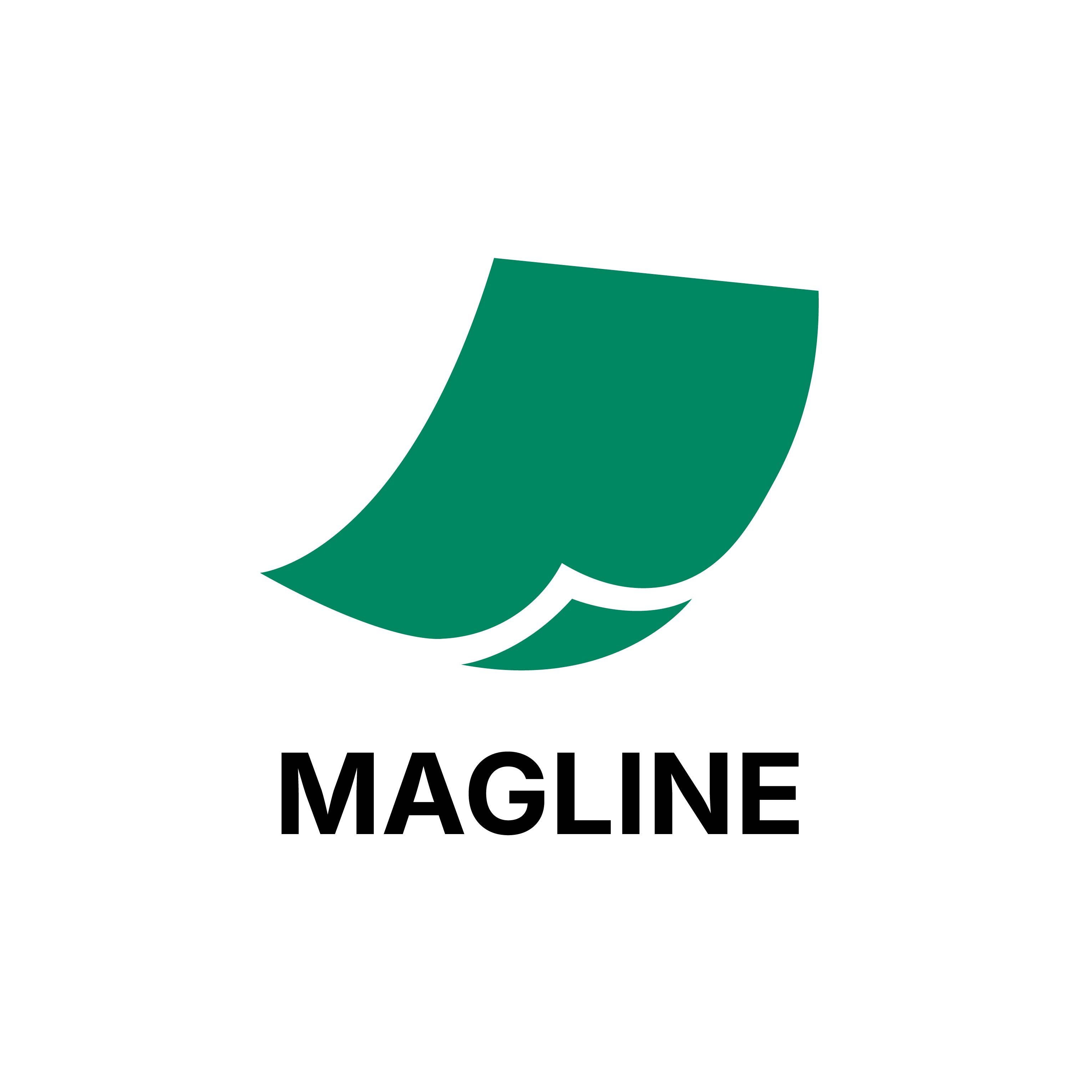MAGLINE Магнитный Винил