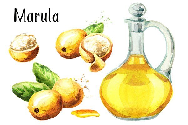 Marula oil