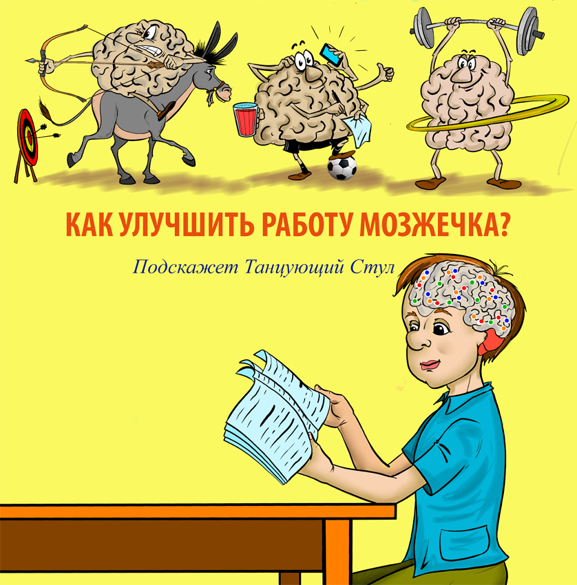 Как улучшить работу мозжечка? Подскажет ортопедический стул