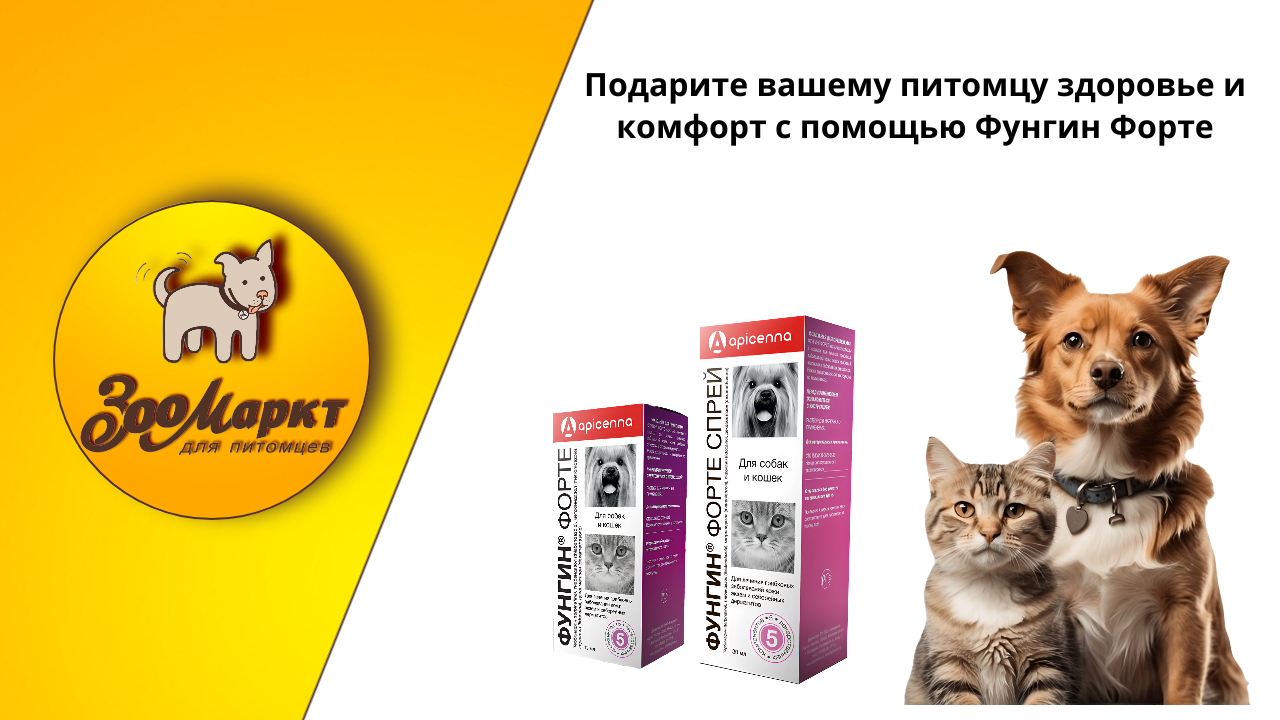 для статьи.png