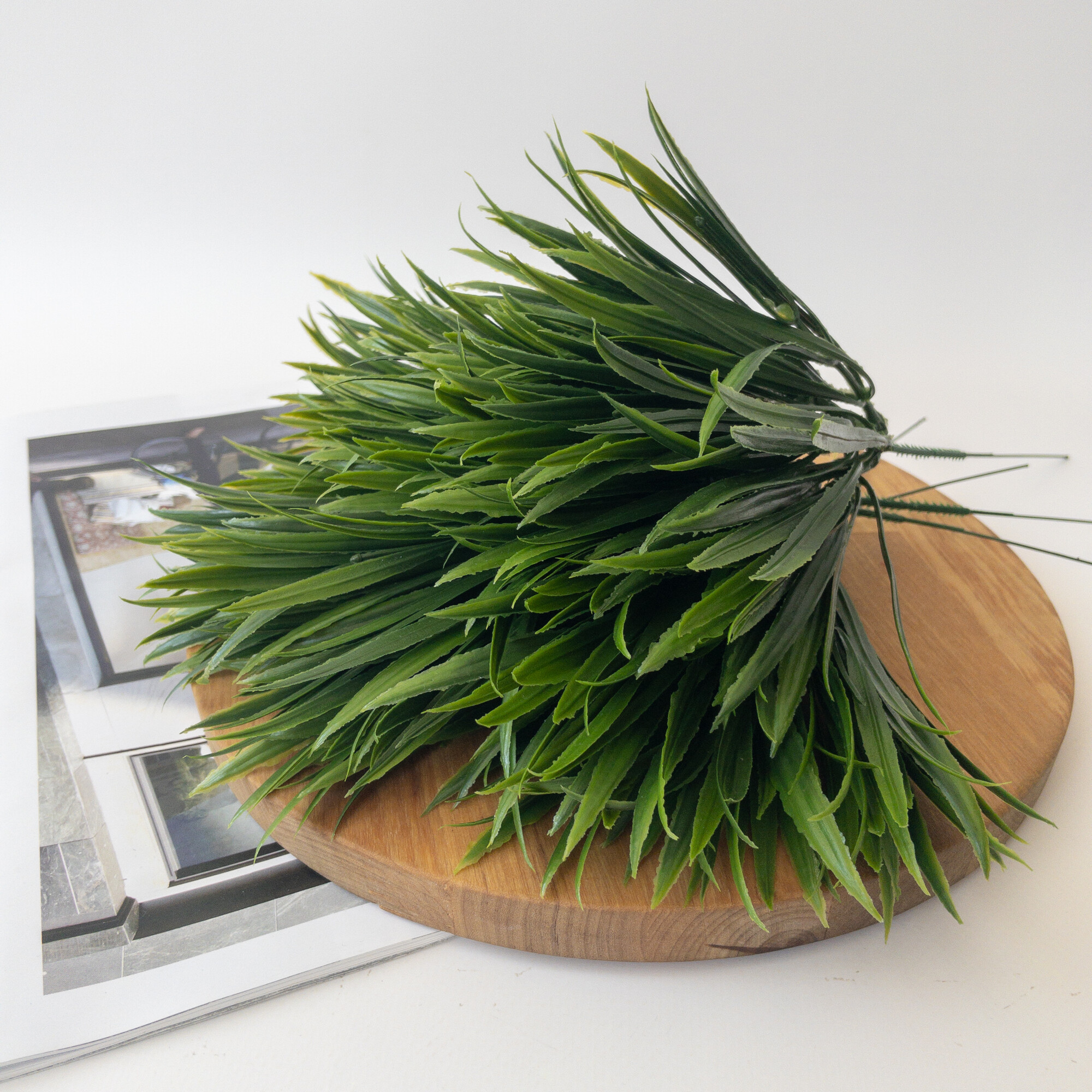 APC_1584 (1) APC_1584 (1).jpg