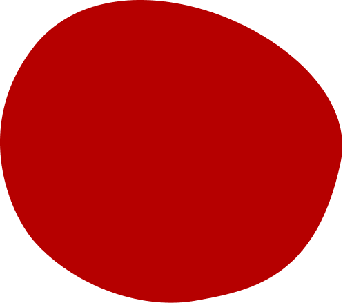 Vector 1 (3).png