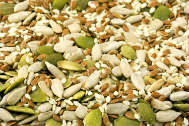 Какие семена подходят для отжима масла Какие продукты подходят для отжима