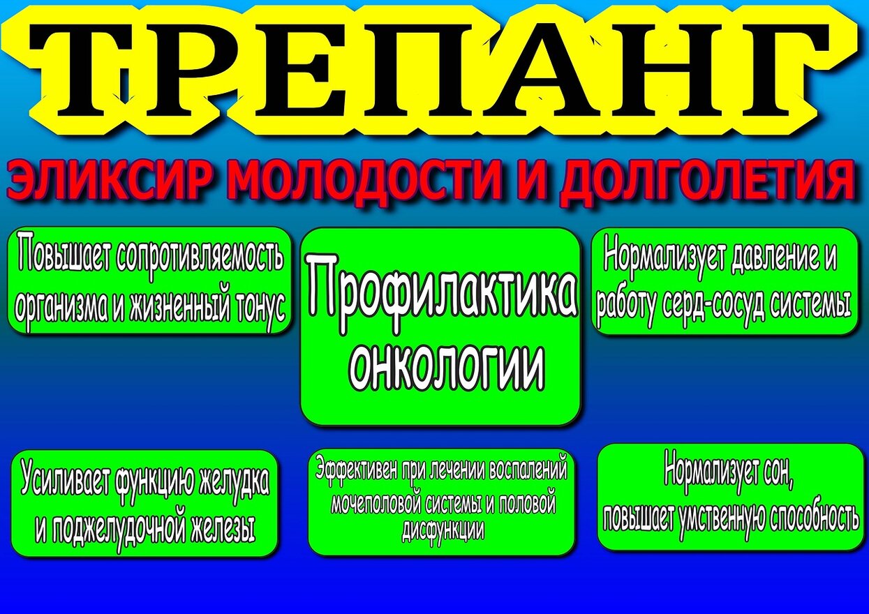 Трепанг статья