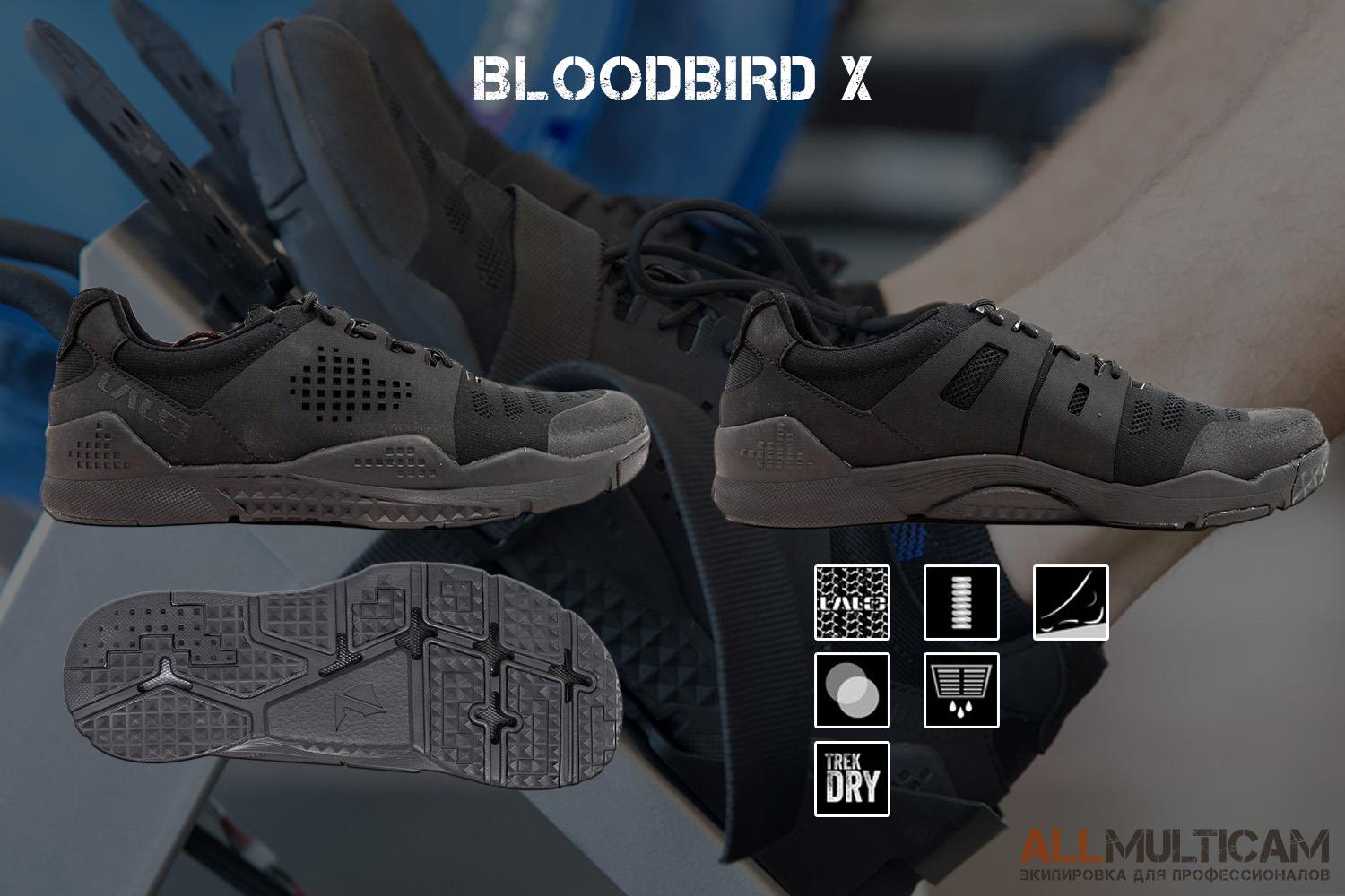 Кроссовки Bloodbird X LALO