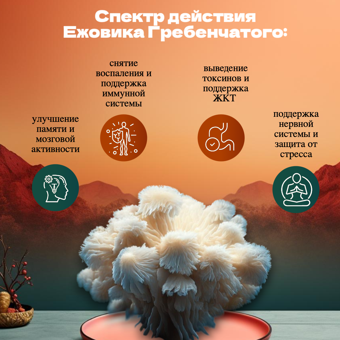 действие ежа 2 карточка.png