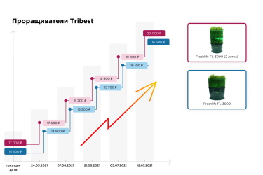 Проращивание проростков в Tribest Freshlife FL-3000