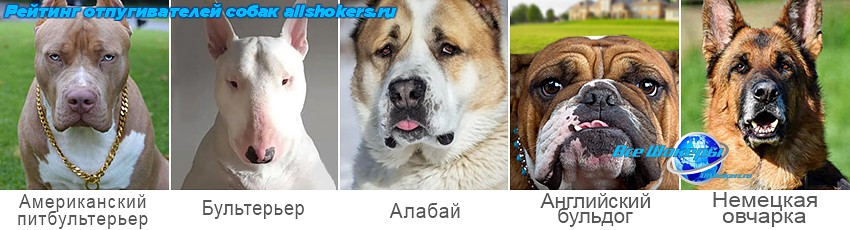 Отпугиватель собак Спецназ-Классик