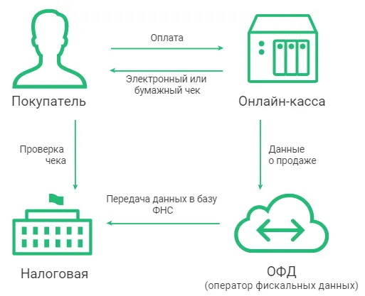 ris8.webp