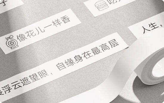 Термопринтер этикеток Xiaomi Mijia Label Printer (MJBQDYJ1-WC)