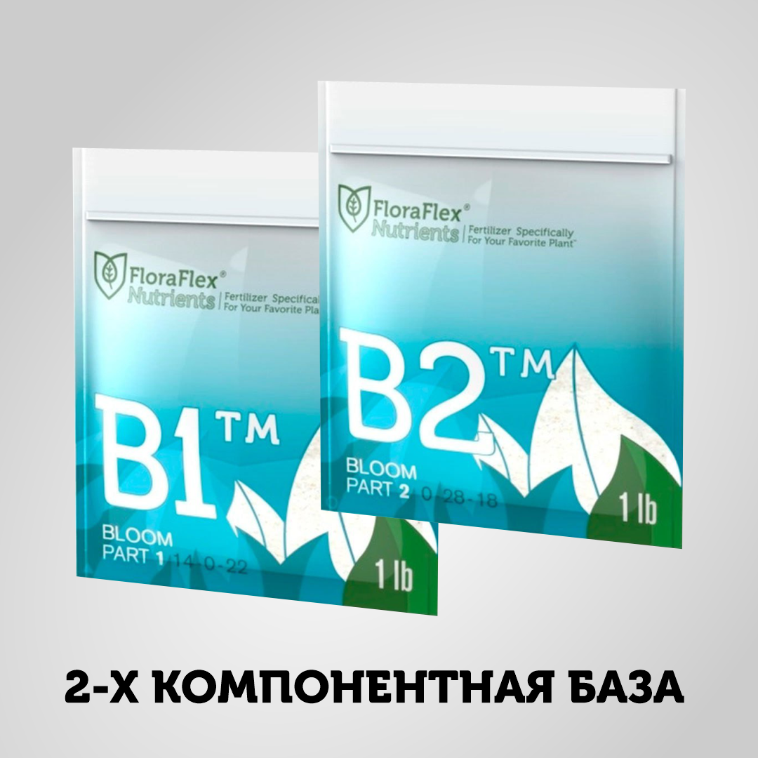 FF_база_1.png