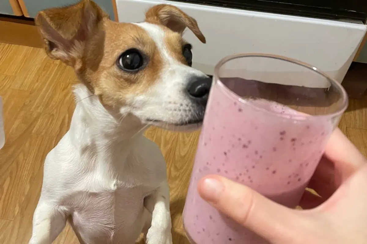 ключевые слова