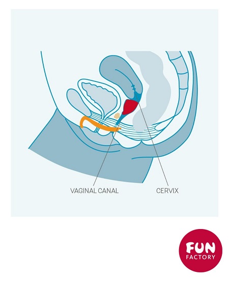 Как установить менструальную чашу Fun Cup