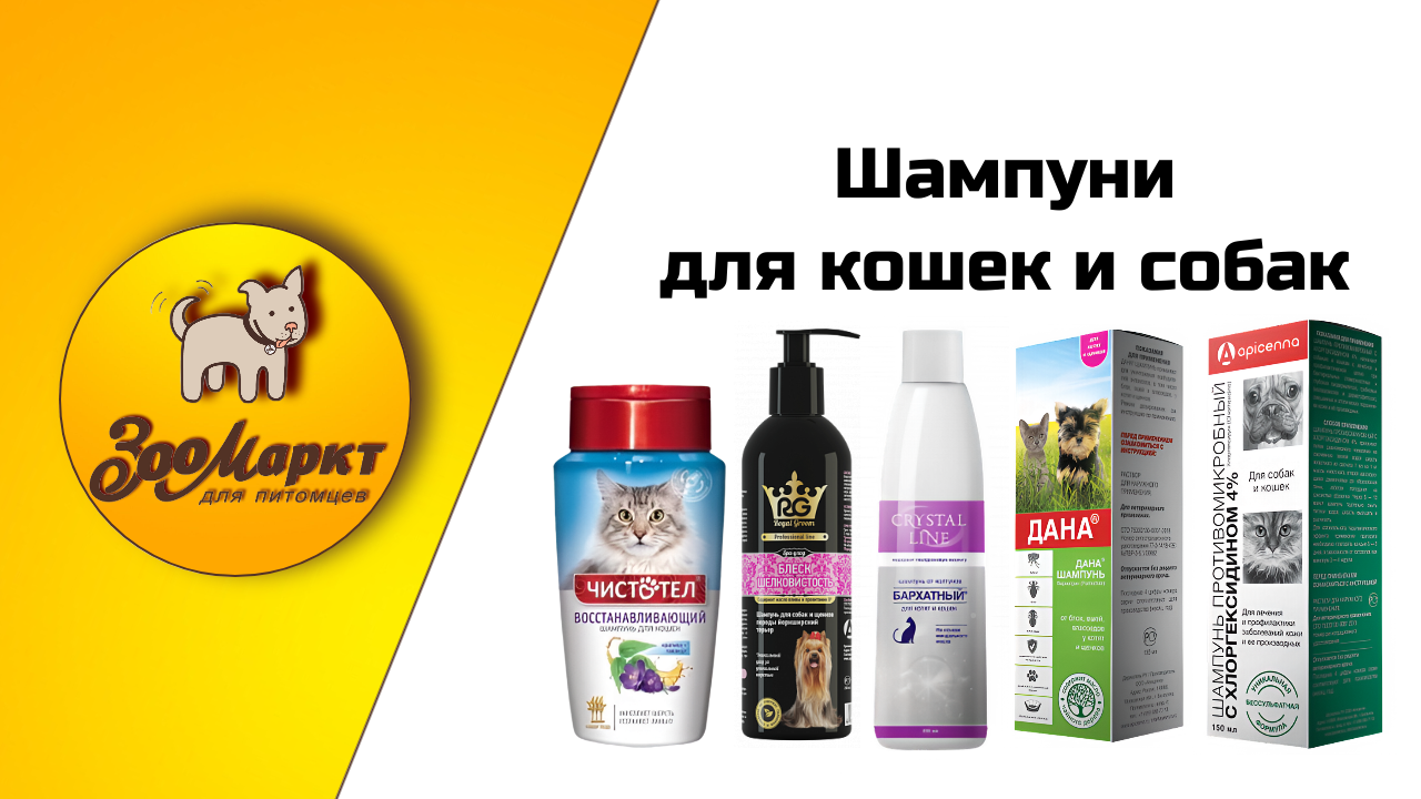 Шаблоны Акций (1) Шаблоны Акций (1).png