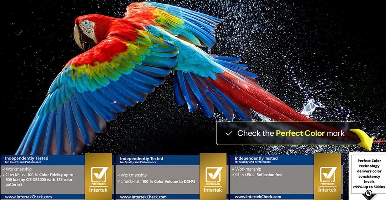 oled-g5-2025-06-feature-perfect&nbsp;&mdash; крупный размер.jpeg