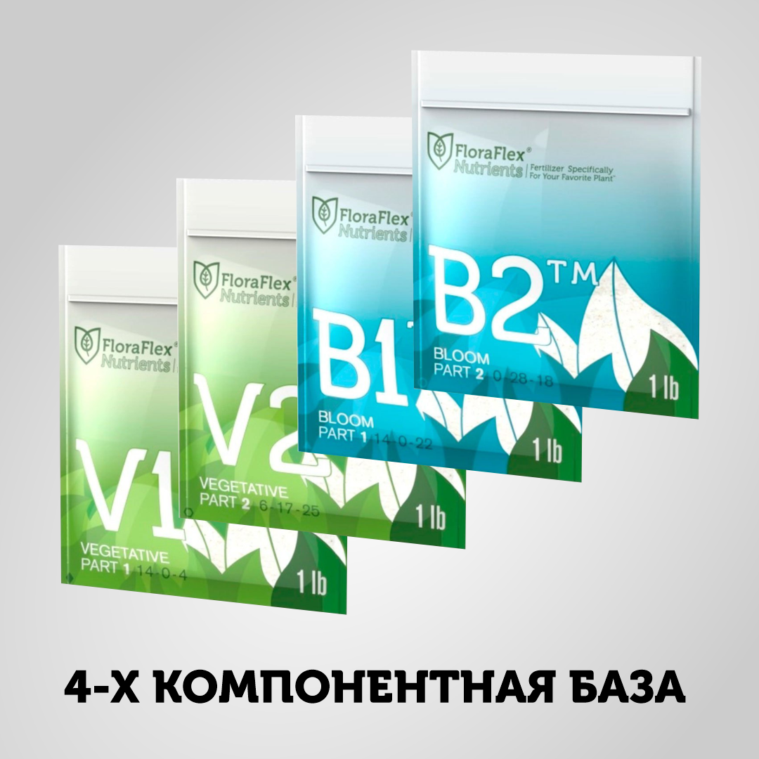 2-Part-Schedules-V1-V2-B1-B2.jpeg
