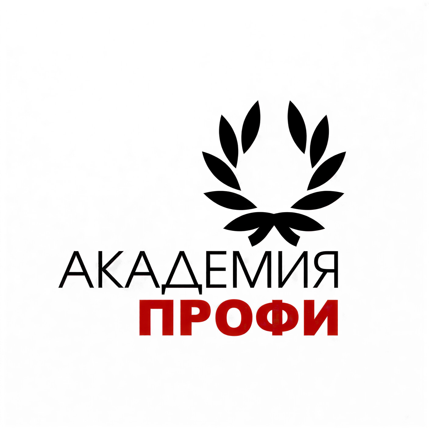 ООО "УЧЕБНАЯ АКАДЕМИЯ ПРОФЕССИОНАЛЬНОГО ОБРАЗОВАНИЯ И РАЗВИТИЯ ПРОФИ"