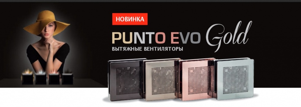 PUNTO EVO GOLD.jpg