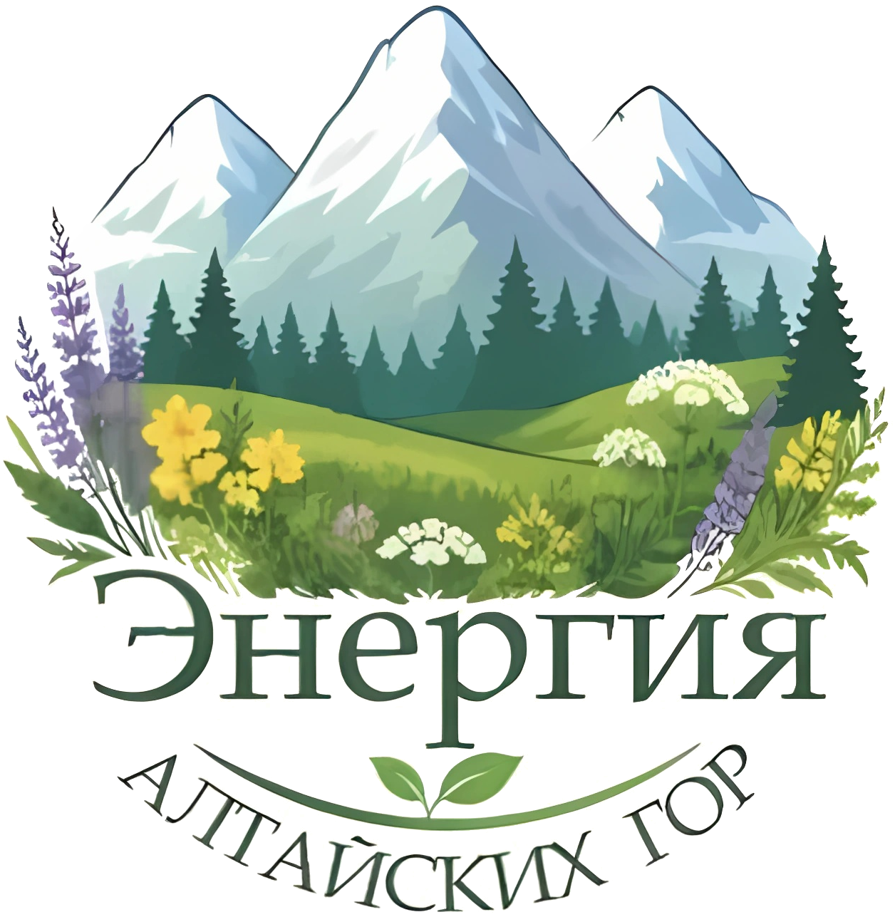 ЭНЕРГИЯ АЛТАЙСКИХ ГОР