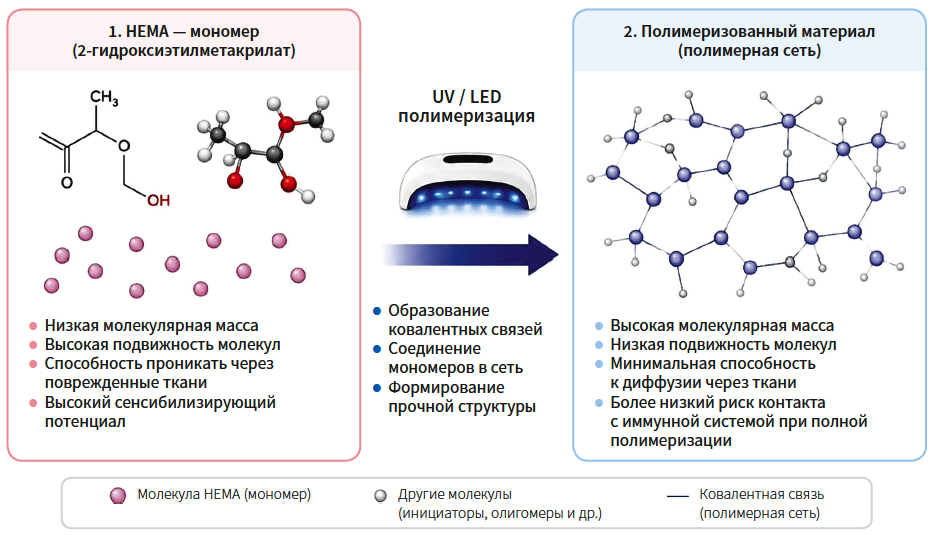 Симоненко (ногти) КМ 3-2026_Рис 2 Симоненко (ногти) КМ 3-2026_Рис 2.png