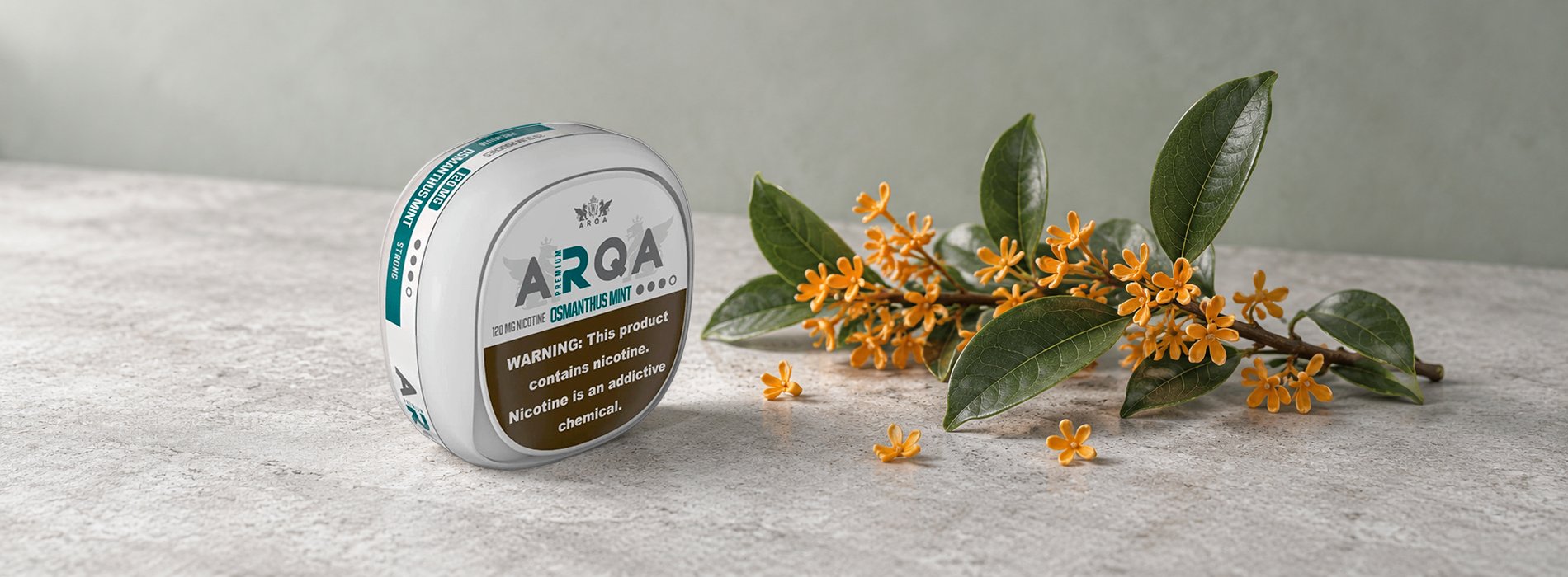 Банка жевательного табака ARQA Premium Osmanthus Mint рядом с веткой цветущего османтуса