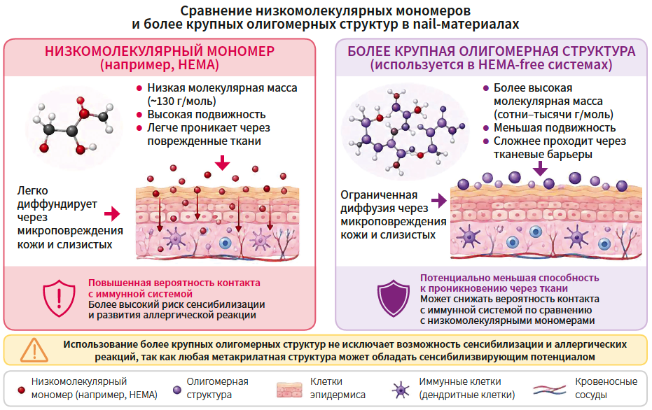 Симоненко (ногти) КМ 3-2026_Рис 3 Симоненко (ногти) КМ 3-2026_Рис 3.png