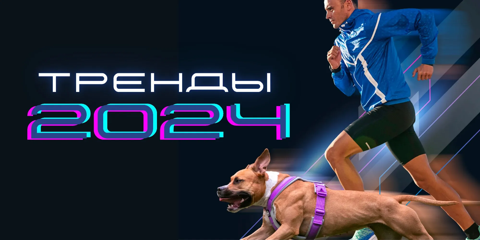 84e5578af67449a4ce5ba18f96439f64 84e5578af67449a4ce5ba18f96439f64.webp