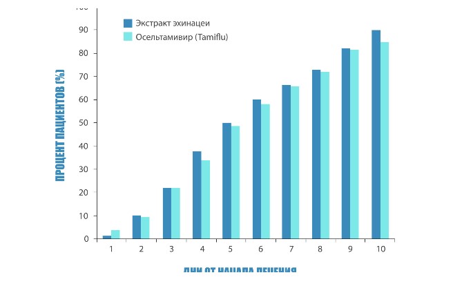 эхинацея для иммунитета исследования
