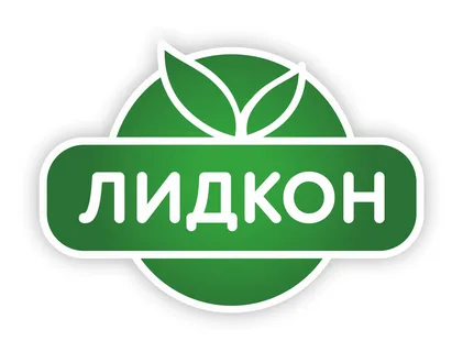 -ЛИДКОН-логотип-.webp