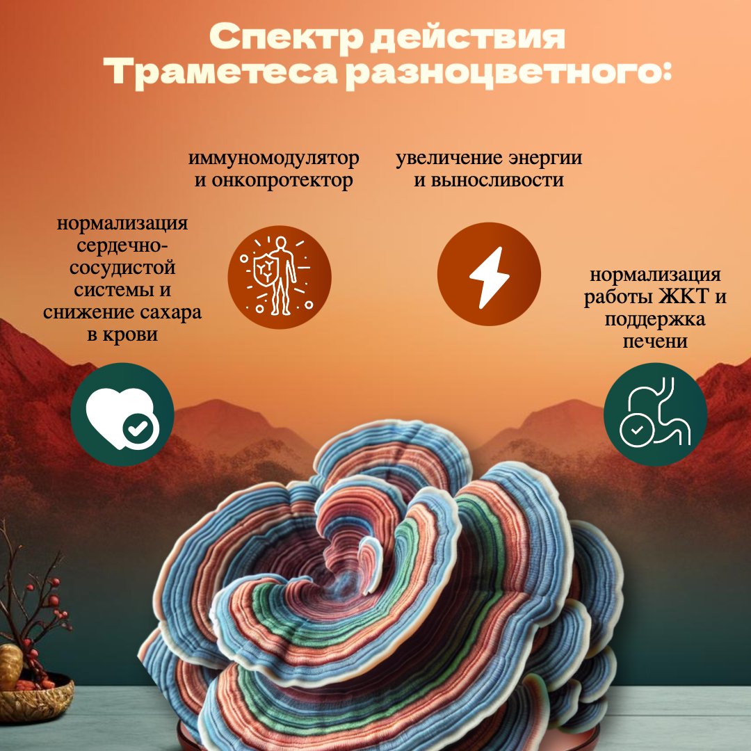 действие траметес 2 карточка.png