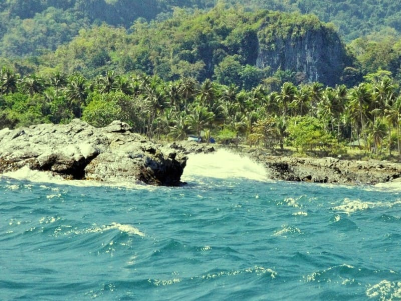 photos-pur__31_-min.jpg