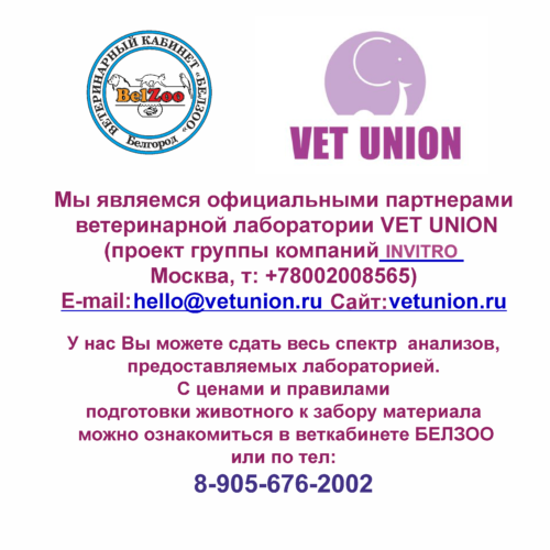 partneryi-vu-500x500 partneryi-vu-500x500.png