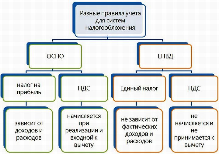  Особенности налогообложения ООО на ОСНО и ЕНВД