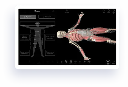 features-topographic.png features-topographic.png.webp