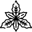 Вербена