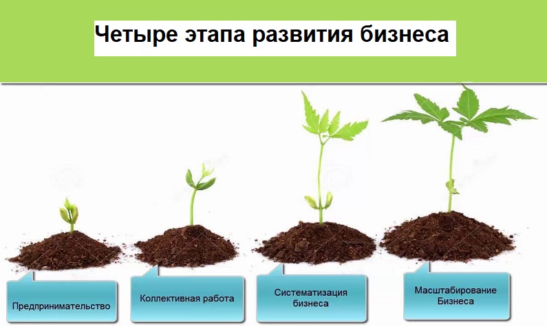 этапы развития бизнеса