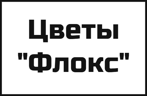 Цветы "Флокс"