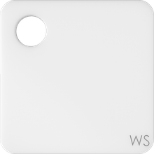 WS