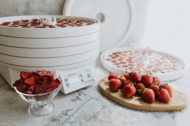 Ezidri Ultra FD1000 Snackmaker FD500