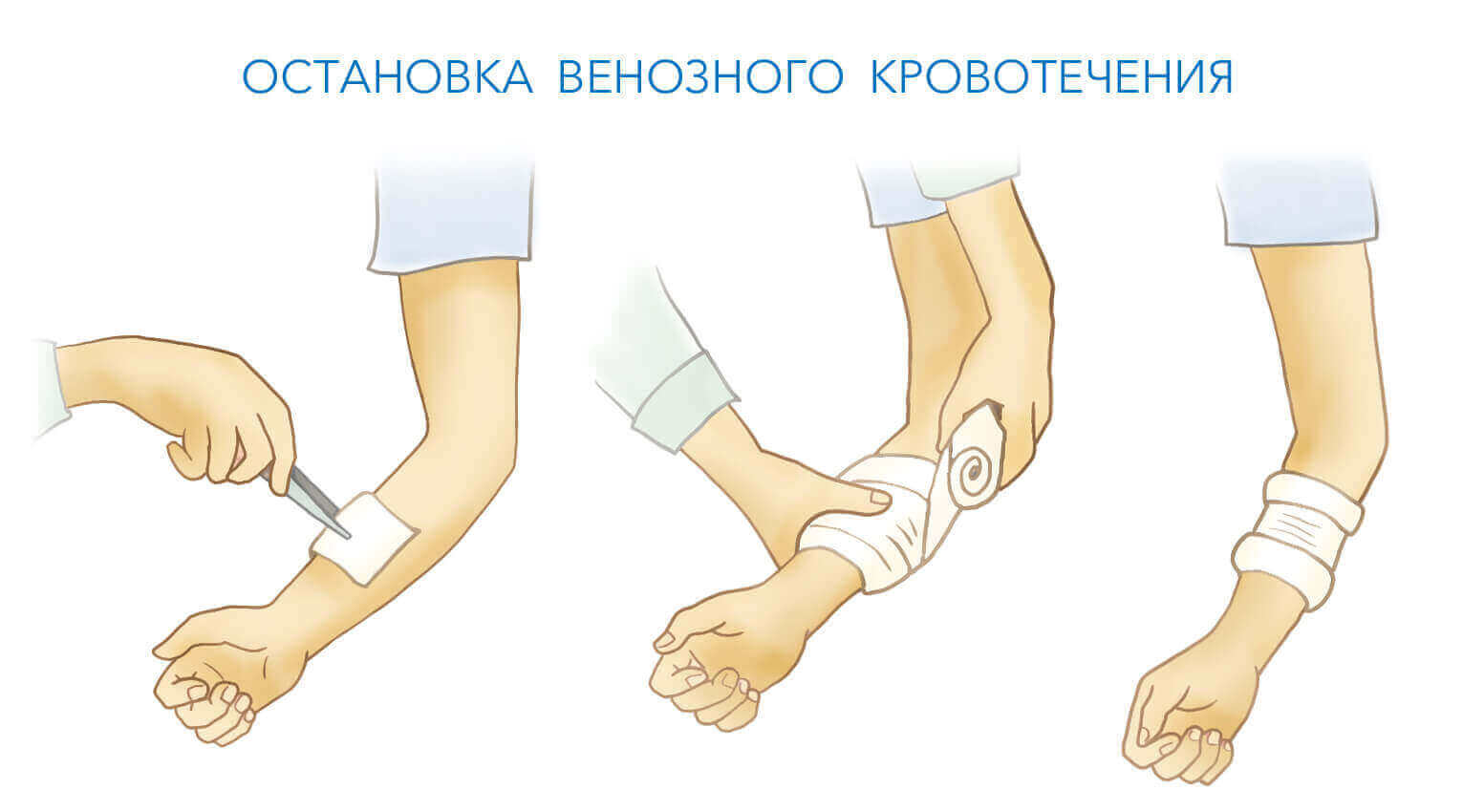 описание фото