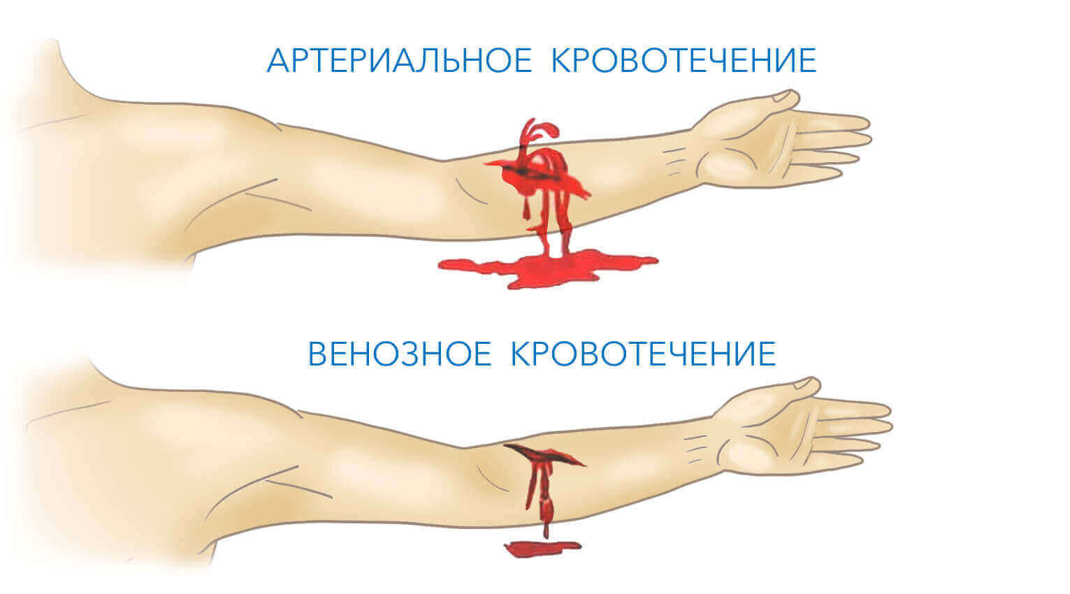 описание фото