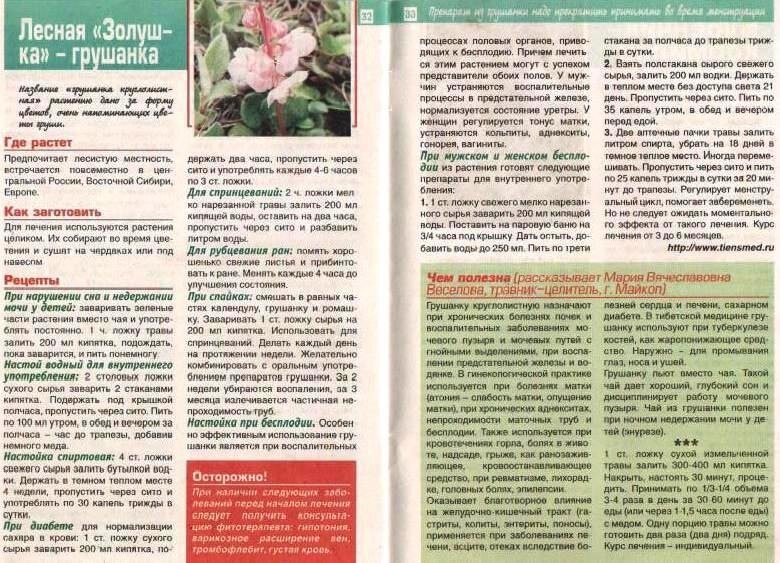 Про Грушанку в журнале