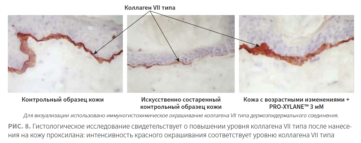 Наумчик КМ 1-2023_Рис 8.png