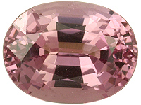2000.jpg