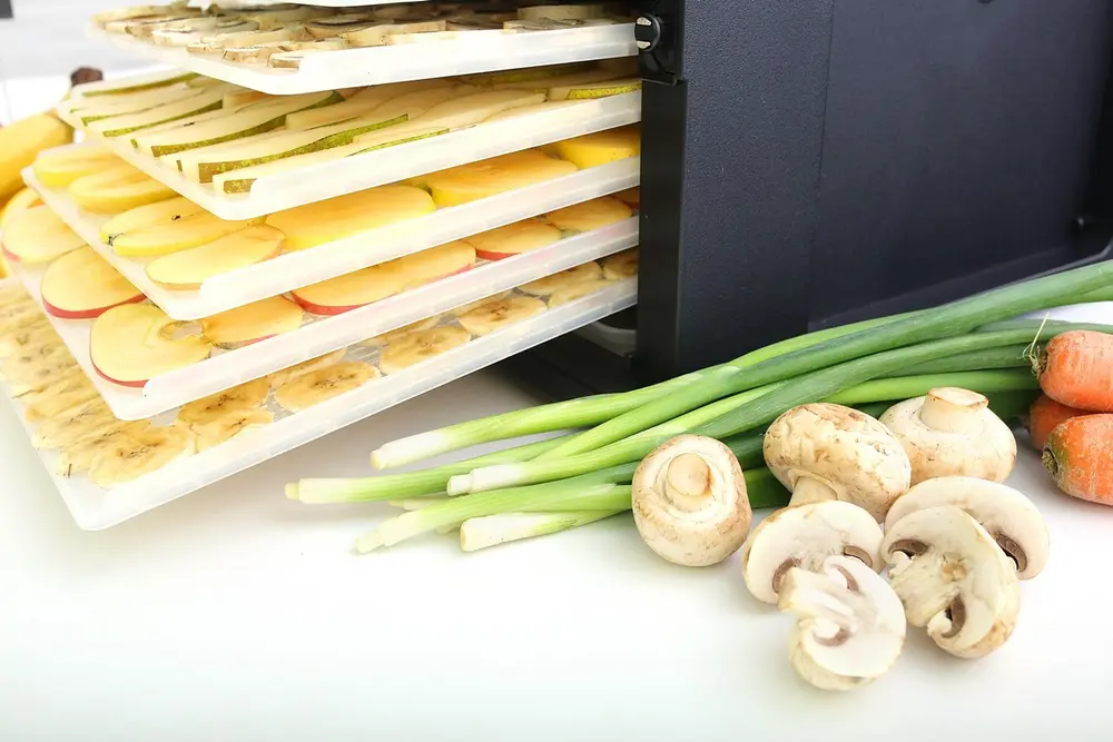 Дегидратор Tribest Sedona Combo Rawfood SD-P9150